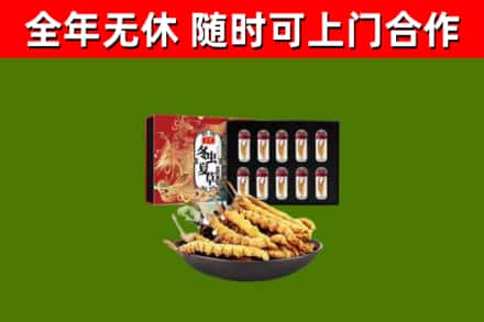 五常回收冬虫夏草价格